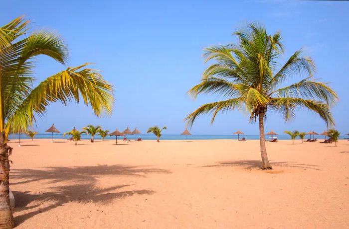 Palm-lined beach