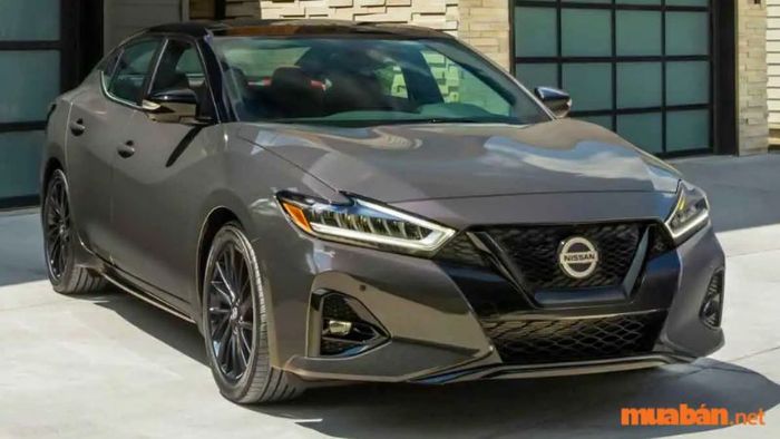 Nissan Maxima