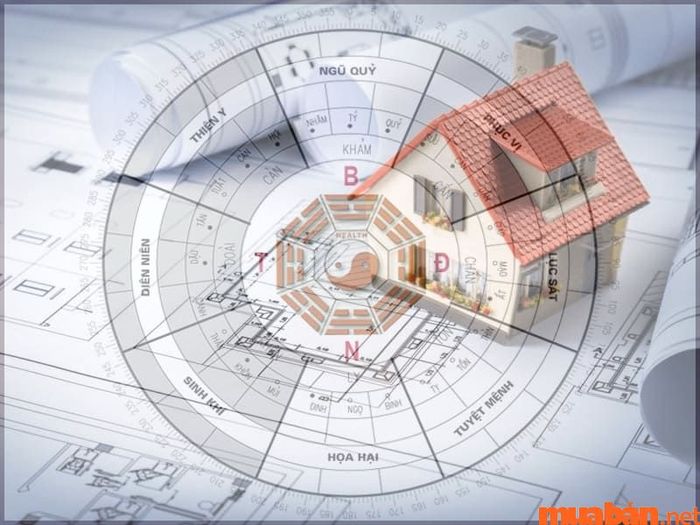 Bạn có thể lựa chọn xây nhà theo hướng Nam (hành Hỏa) hoặc hướng Bắc (hành Thủy) tùy vào nhu cầu và mục tiêu công việc của mình.