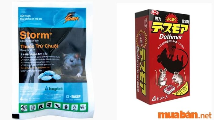 Có những loại thuốc diệt chuột hiệu quả để ngăn chuột vào nhà
