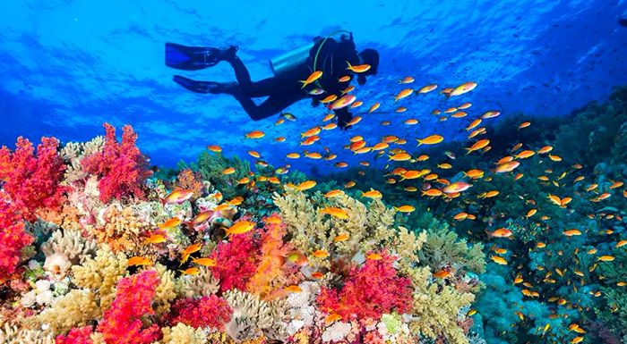 Egypt is consistently ranked as one of the top destinations worldwide for scuba diving and snorkeling.