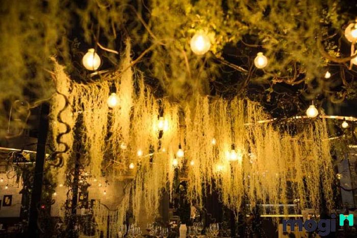 Ánh sáng là một yếu tố không thể thiếu khi thiết kế quán cafe. Nó không chỉ tạo không gian sống động mà còn ảnh hưởng lớn đến cảm giác của khách hàng khi vào quán.