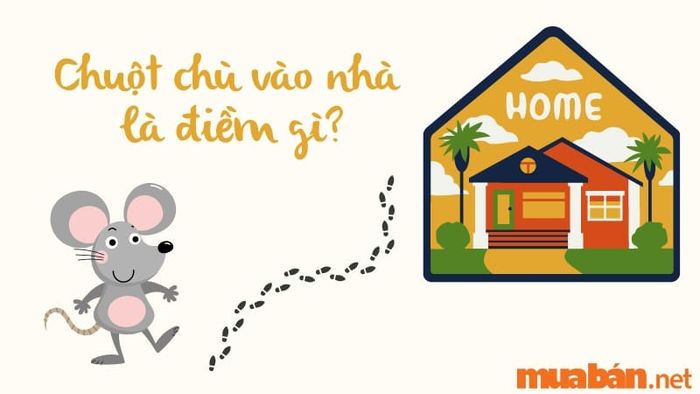 Chuột chù vào nhà có ý nghĩa gì?