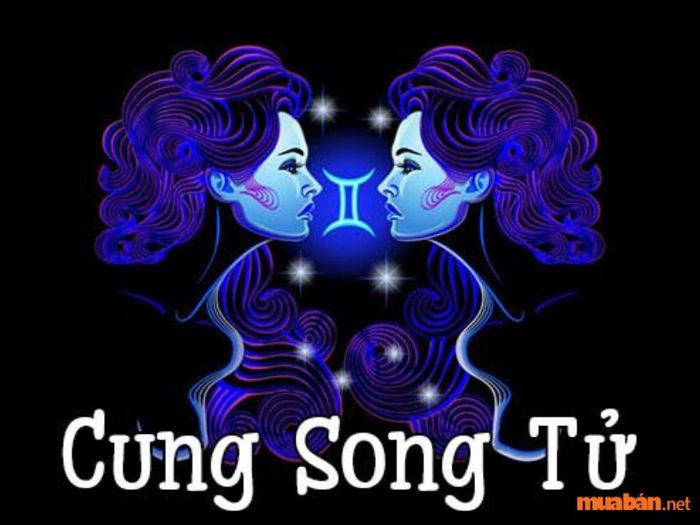 Vị trí số 1: Cung Song Tử (22/5 - 21/6)
