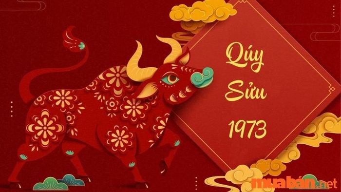 Biển Số Xe Phù Hợp Với Người Tuổi Quý Sửu