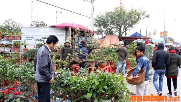 Tham gia phiên chợ Viềng vào mùng 7, mùng 8 Tết tại Nam Định