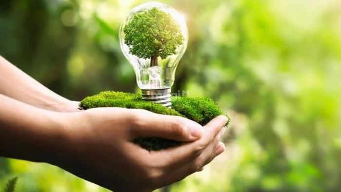 Tiết kiệm điện là một cách hiệu quả để bảo vệ môi trường