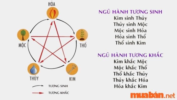 Biển Số Xe Phù Hợp Với Tuổi Quý Sửu