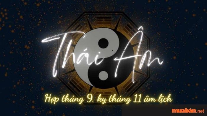 Sao Thái Âm hợp và kỵ với các tháng nào?
