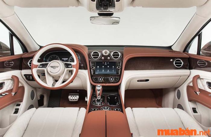 Niềm đam mê với ngành nghề