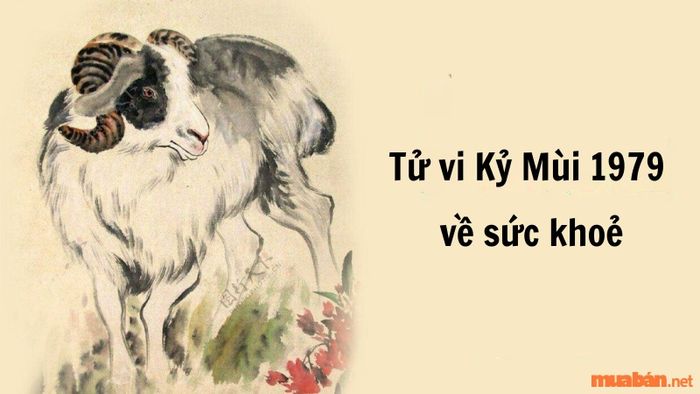 Tử vi Kỷ Mùi 1979 về sức khỏe