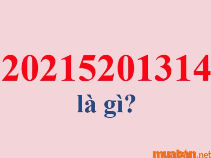 Ý nghĩa biển số xe 14 là gì?