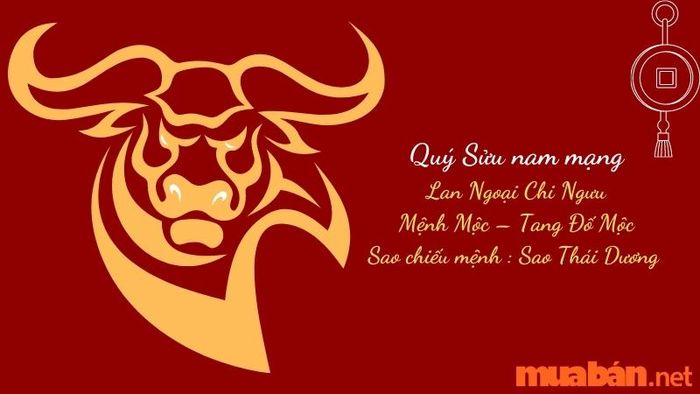 Biển Số Xe Phù Hợp Với Tuổi Quý Sửu