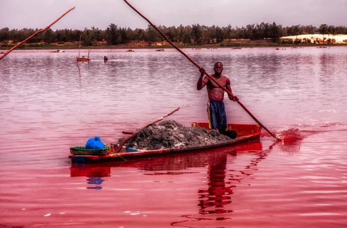 Lake Retba's striking pink color is the result of a unique bacteria that thrives in its salty waters.