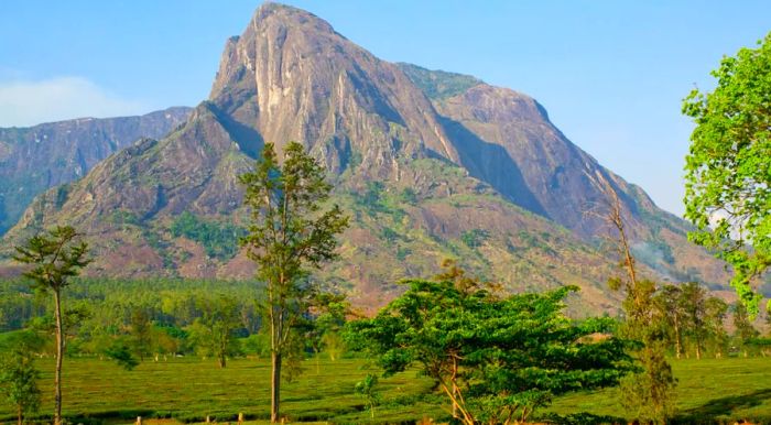 Climbing Mount Mulanje is a challenging but rewarding journey, offering spectacular panoramic views from its summit.