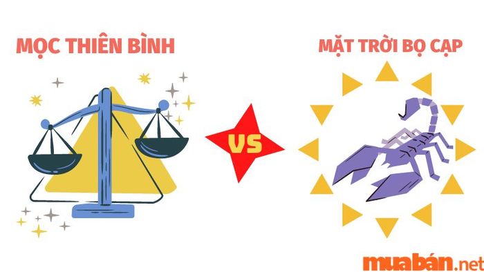 Mối kết hợp giữa Mọc Thiên Bình và mặt trời Bọ Cạp tạo ra những cá nhân có chiều sâu cảm xúc và sự mạnh mẽ nội tâm. Tuy có thể gặp một số thử thách trong việc thể hiện cảm xúc, nhưng bạn luôn sẵn sàng đối mặt với mọi khó khăn trong cuộc sống với sự quyết tâm và niềm tin vào bản thân.