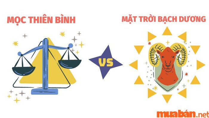 Mọc Thiên Bình Kết Hợp Với Mặt Trời Bạch Dương