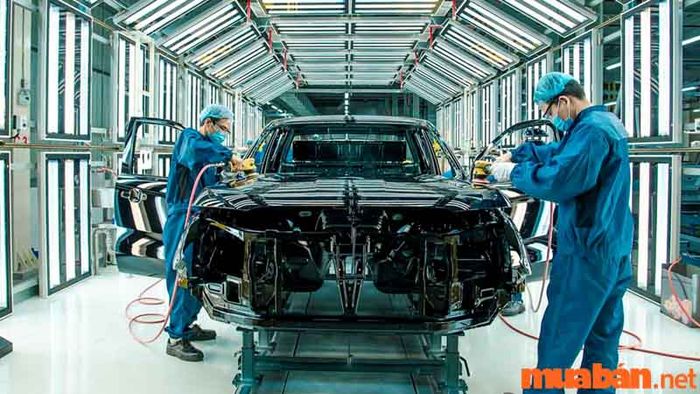 Học nghề một cách bài bản