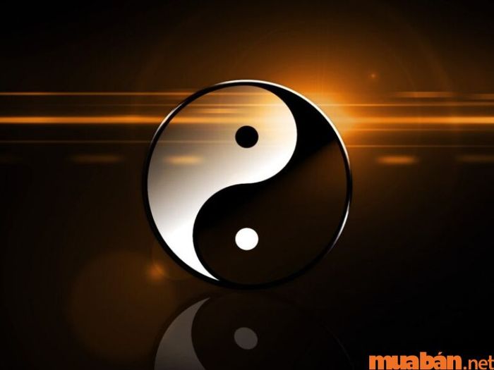 Biển số xe 13 mang ý nghĩa gì?