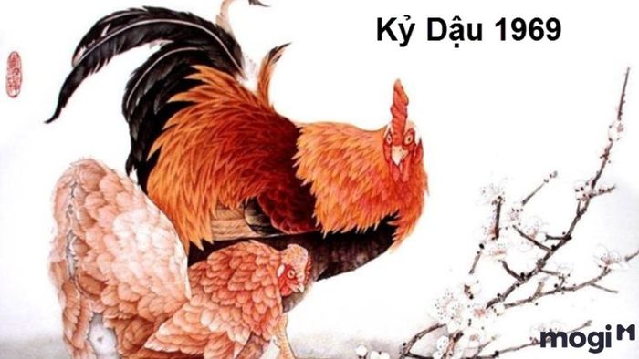 Liệu Tuổi Kỷ Dậu Năm 2024 Có Phạm Hạn Kim Lâu Hay Không?