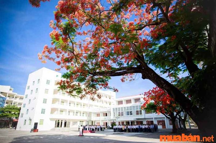 Trường Cao đẳng Giao thông Vận tải Trung ương V