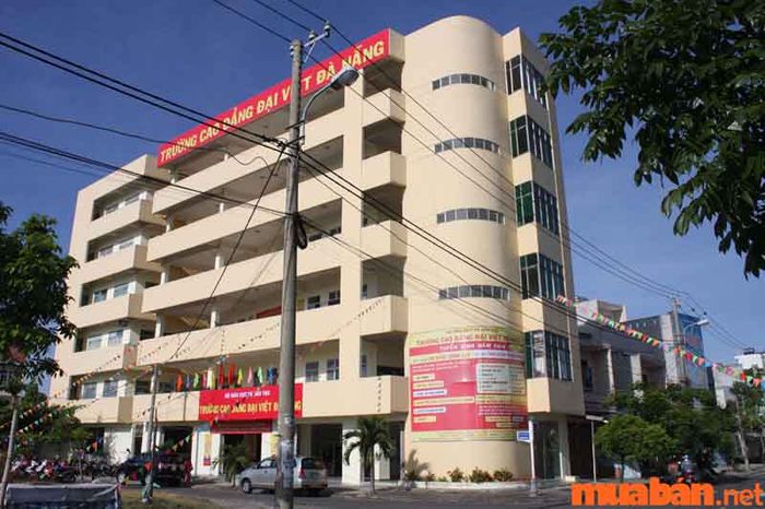 Trường Cao Đẳng Đại Việt