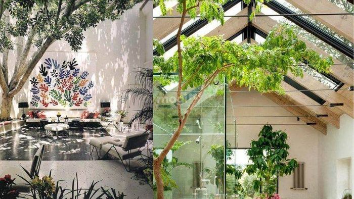 Giếng trời thông gió trong sân vườn mang lại không gian sống tươi mới, gắn kết con người với thiên nhiên qua các yếu tố cây cỏ và tiểu cảnh.
