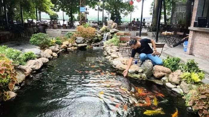 Không gian quán cà phê sân vườn kết hợp hồ cá KOI thoáng mát và dễ chịu – Nguồn ảnh: Sưu tầm