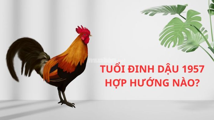 Hướng nhà phù hợp với tuổi Đinh Dậu 1957 để đón tài lộc và vận may?
