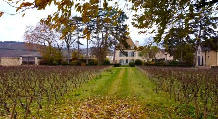 The Burgundy region is said to have lost €1 billion due to three consecutive nights of frost.