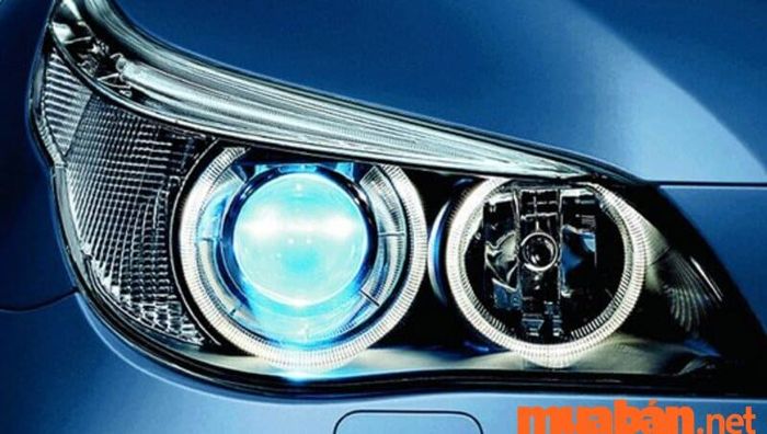 Những đặc điểm của đèn xenon là gì?