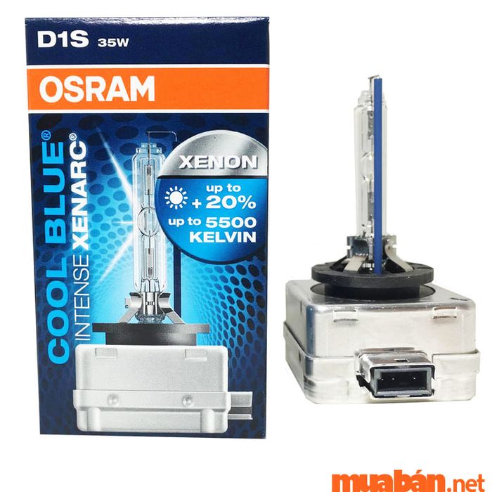 Nên chọn loại đèn xenon nào?