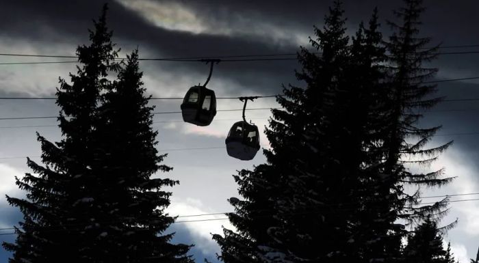 Courchevel now has more trees than it did when the resort was first established in 1946.