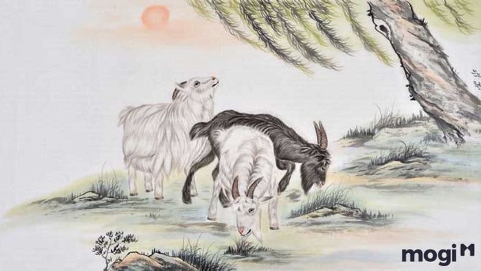 Tử vi Đinh Mùi 1967 trong năm 2024