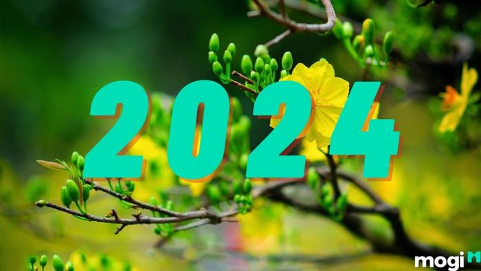 Năm 2024 thuộc mệnh gì?