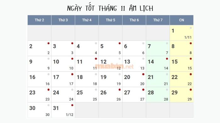 Khám phá lịch âm tháng 11 năm 2024