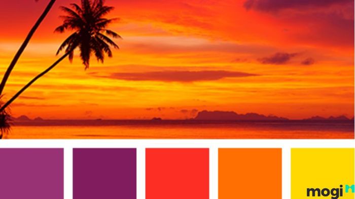 Màu sắc hợp và kỵ với người sinh năm 2024 là gì?