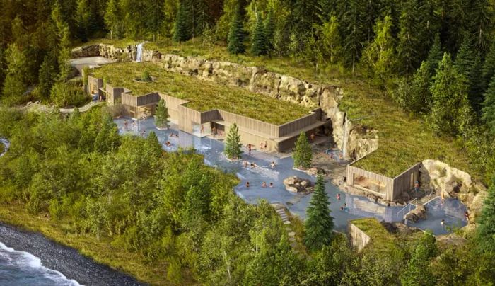 An artist's rendering provides an aerial view of the Forest Lagoon spa.