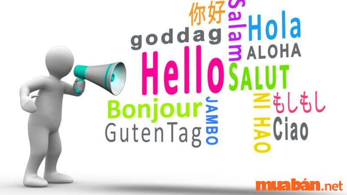 Để trở thành một hướng dẫn viên du lịch giỏi, việc thành thạo ngoại ngữ là điều vô cùng quan trọng. Điều này giúp bạn dễ dàng giao tiếp với du khách quốc tế và mang lại những trải nghiệm tuyệt vời cho họ khi tham gia chuyến đi.