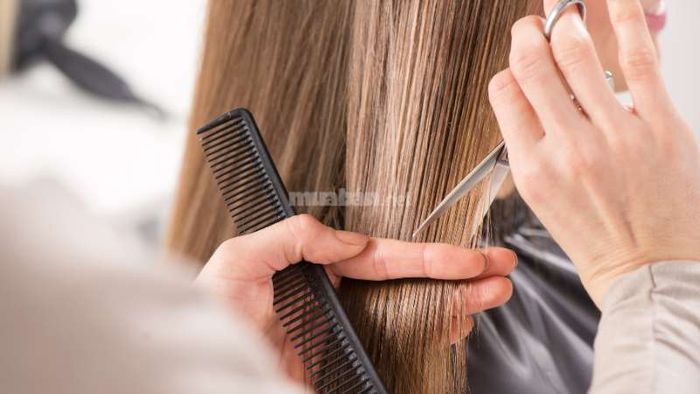 Một số điều cần lưu ý trước khi cắt tóc