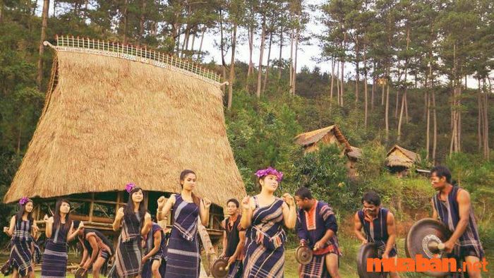 Ngành hướng dẫn viên du lịch cung cấp kiến thức về các phong tục, tập quán, lễ hội và truyền thống của các vùng miền, giúp bạn hiểu sâu về văn hóa của từng địa phương.