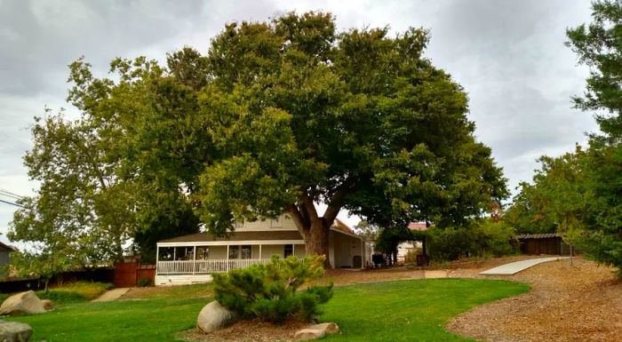 Today, Wakamatsu Farm remains a working farm and hosts various events, serving as a reminder of the first Japanese settlers in the United States.