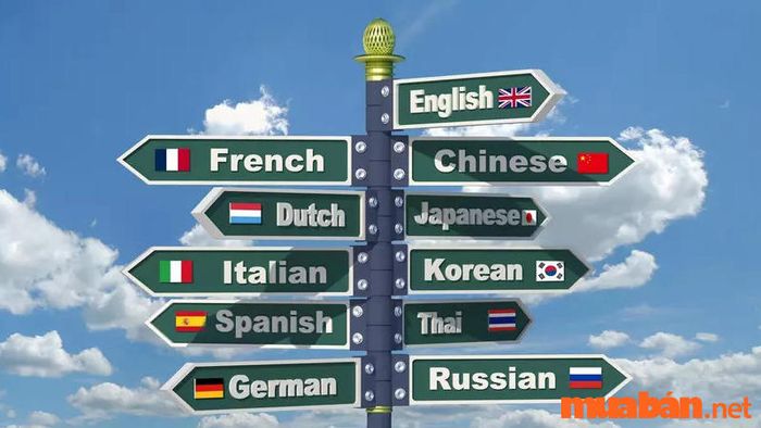 Ngành du lịch mang lại thu nhập hấp dẫn, đặc biệt nếu bạn có khả năng ngoại ngữ.