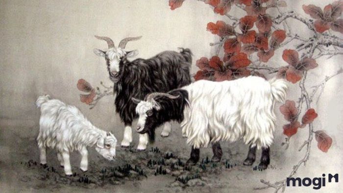 Tử vi tuổi Mùi Quý IV/ 2024 (Tháng 10-11-12)