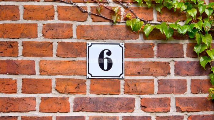 Năm cá nhân số 6