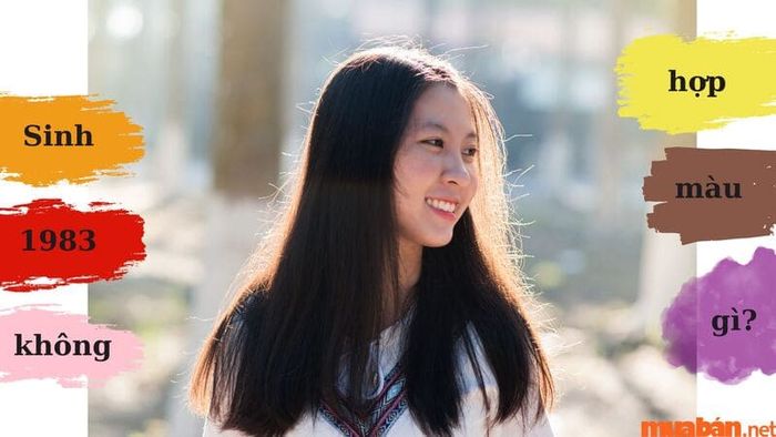 1983 mệnh gì: các màu sắc tương khắc