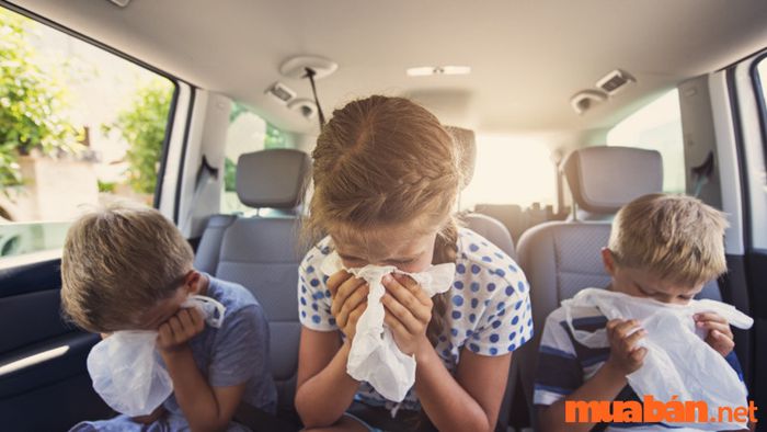 Ngành hướng dẫn viên du lịch yêu cầu người làm phải có sức khỏe tốt để không bị say tàu xe, điều này rất quan trọng trong công việc di chuyển thường xuyên.