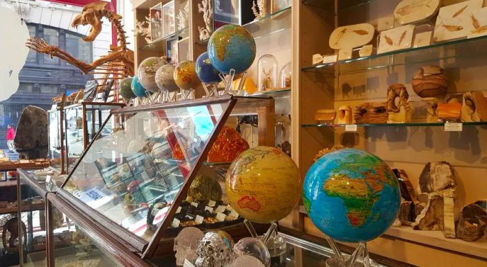 At The Evolution Store, you can find a wide range of items, from compasses to taxidermied animals.