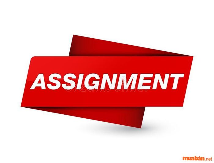 Assignment chính là bài luận tiếng Anh, thường dùng trong các môn học để đánh giá năng lực học viên