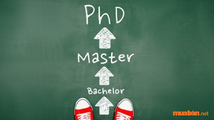 Yêu cầu cơ bản để có được bằng Tiến sĩ PHD là gì?